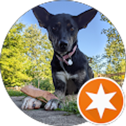 Profile photo of Drew Hinners