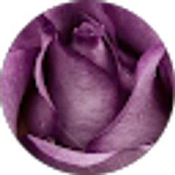 Profile photo of Claudia Romero