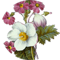 Profile photo of Denise and Dave McCullough