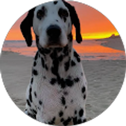 Profile photo of Misti Borders