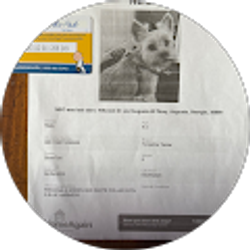 Profile photo of Antoniette Pate