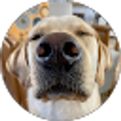 Profile photo of Miles Stumbaugh