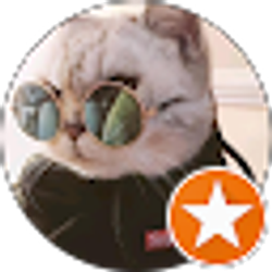 Profile photo of Jie Zhang