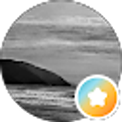 Profile photo of Nu Kulcher