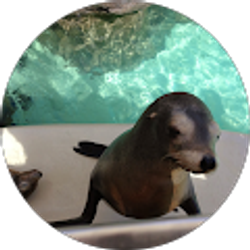 Profile photo of Jeannie Shye