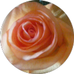 Profile photo of Karla Fitschen