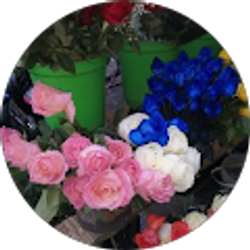 Profile photo of Letsy James