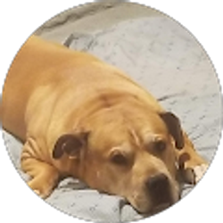 Profile photo of Bartholomew Register