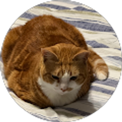 Profile photo of mike B