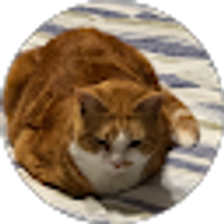Profile photo of mike B
