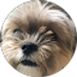 Profile photo of Jon Land