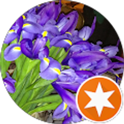 Profile photo of Jennifer S