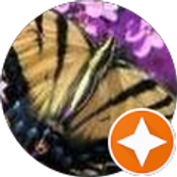 Profile photo of tspencer424