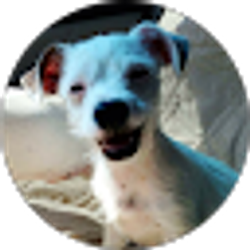 Profile photo of Fran Allen