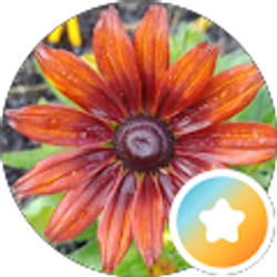 Profile photo of Julie H