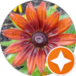 Profile photo of Julie H