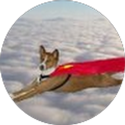 Profile photo of John Vieceli