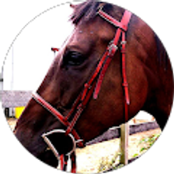 Profile photo of Taylor Price