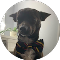 Profile photo of Jeff Baker