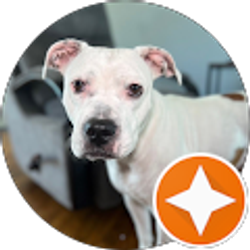 Profile photo of Holden Williams