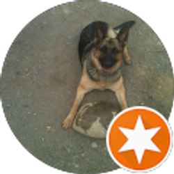 Profile photo of daniel frystacky