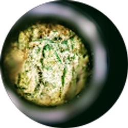 Profile photo of wicked_intense gaming