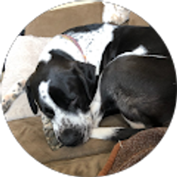 Profile photo of Hunter Nugent