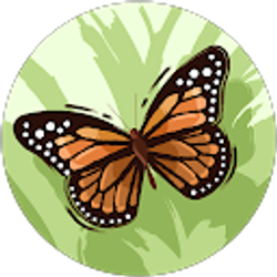 Profile photo of Maria Flores
