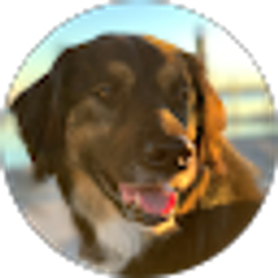 Profile photo of Chelsea Prince