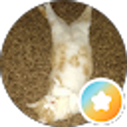 Profile photo of Angela B