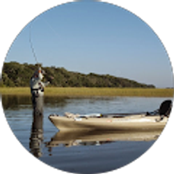 Profile photo of Ron Edlin