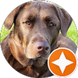 Profile photo of Kevin Cooper