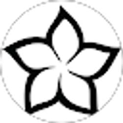 Profile photo of D Tran