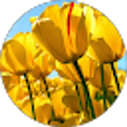 Profile photo of V Warner