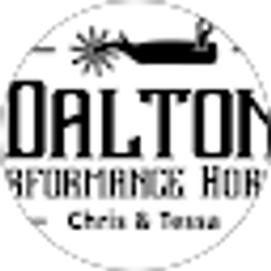 Profile photo of Dalton Performance Horses , LLC