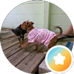 Profile photo of chris reck