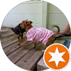 Profile photo of chris reck