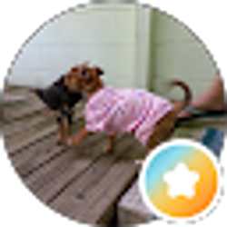 Profile photo of chris reck