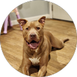 Profile photo of Arieal Purnell