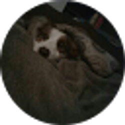 Profile photo of Michelle Flug