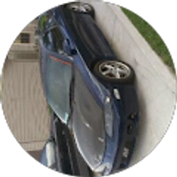 Profile photo of Thomas Allen