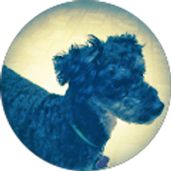 Profile photo of Cindy Mickelson