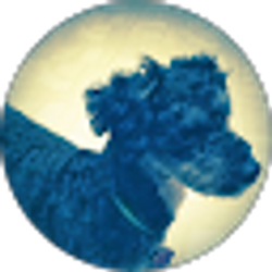 Profile photo of Cindy Mickelson