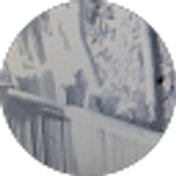 Profile photo of Joe Smith