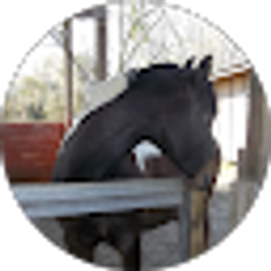 Profile photo of Jill C