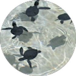 Profile photo of Jordan Grey