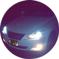 Profile photo of luce hoyen