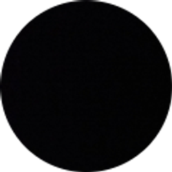 Profile photo of Daniel Shvartz