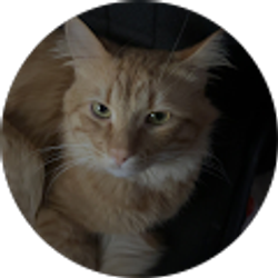 Profile photo of karl apao