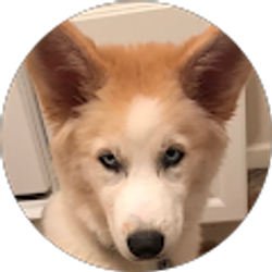 Profile photo of Montes Montes